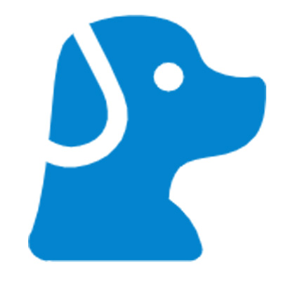 Veterinary endoscopy