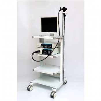 Human gastroscope with colonoscope system